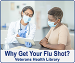 link to Flu Vaccine Decision Aid Tool on the Veterans Health Library